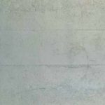 CP001